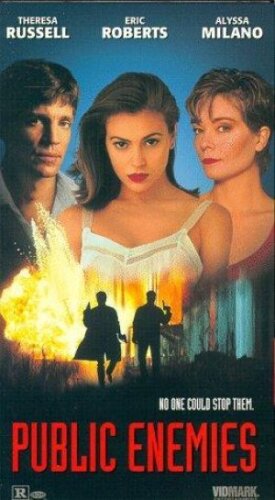 Враг общества №1 (1996)