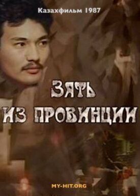 Зять из провинции (1987)