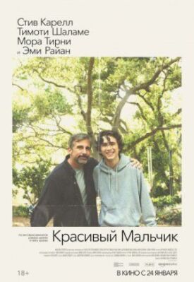 Красивый мальчик (2018)