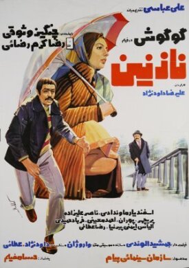 Попутчик (1976)